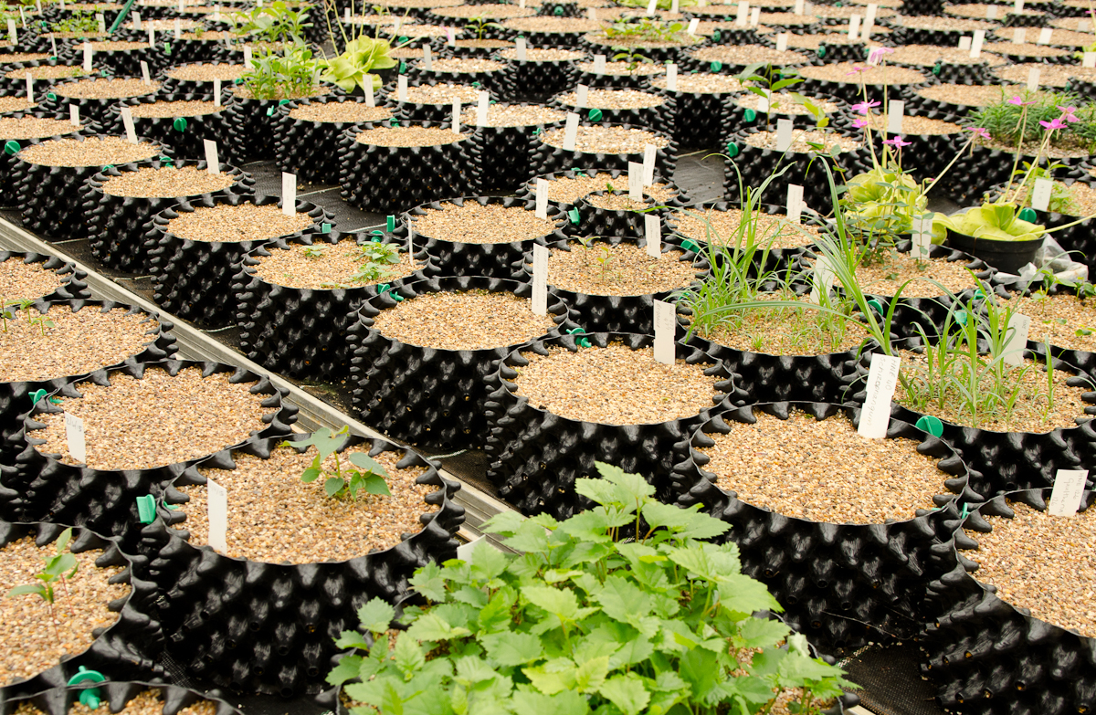 Air-Pot Small Seed Tray