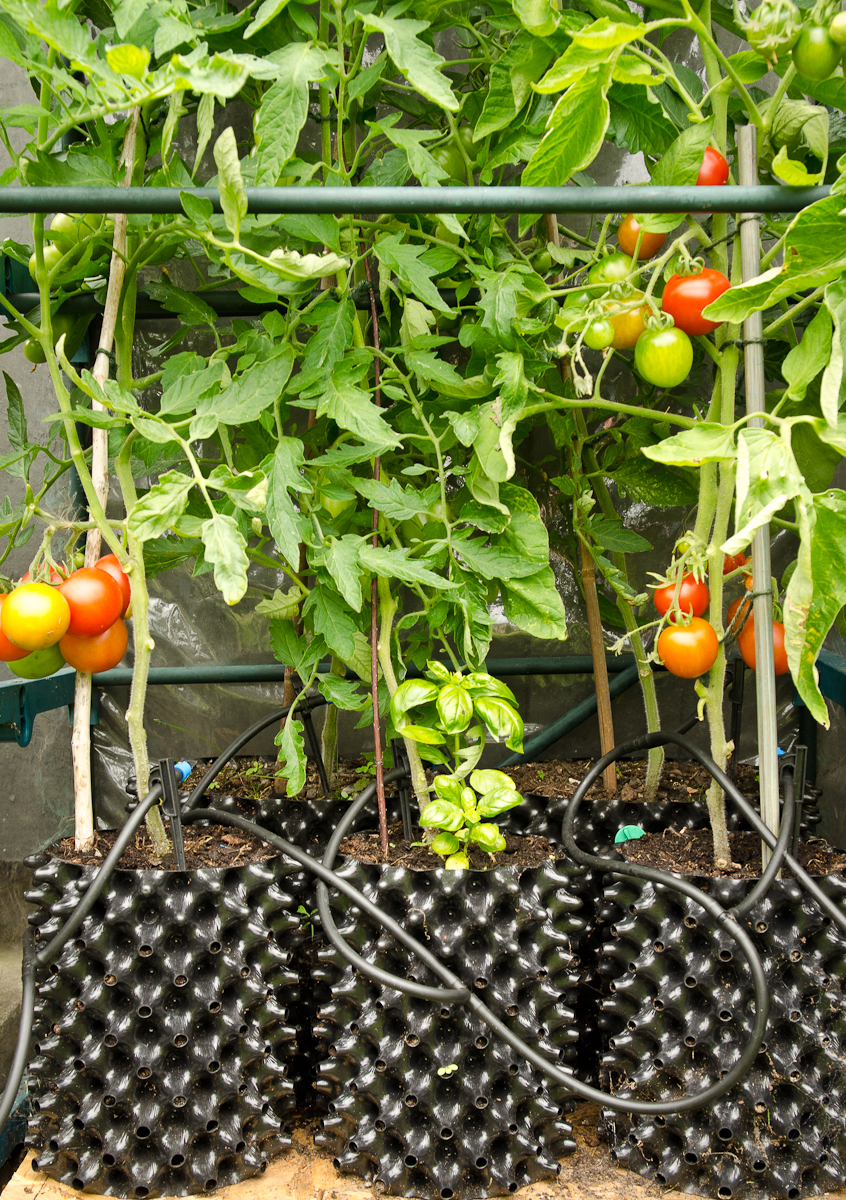 Air-Pot Garden - Small
