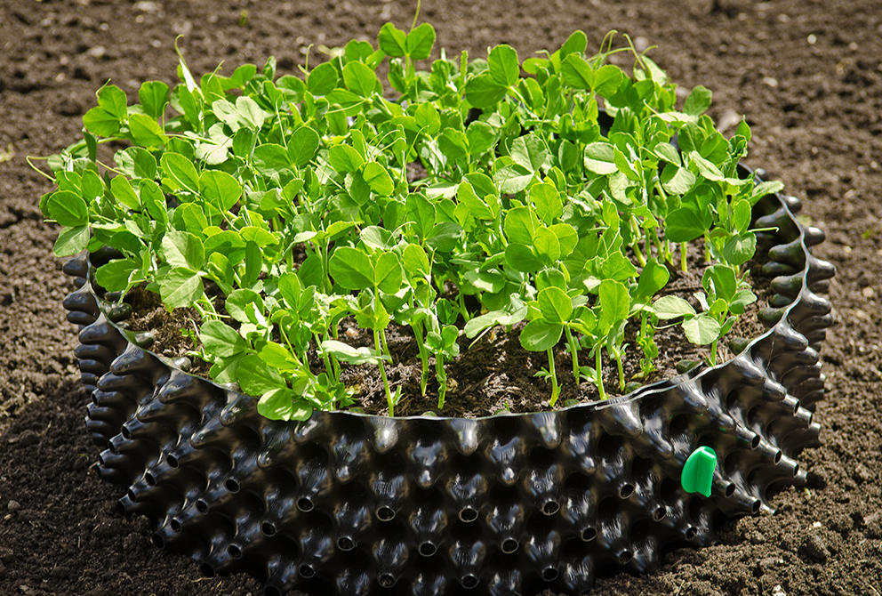 Air-Pot Large Seed Tray