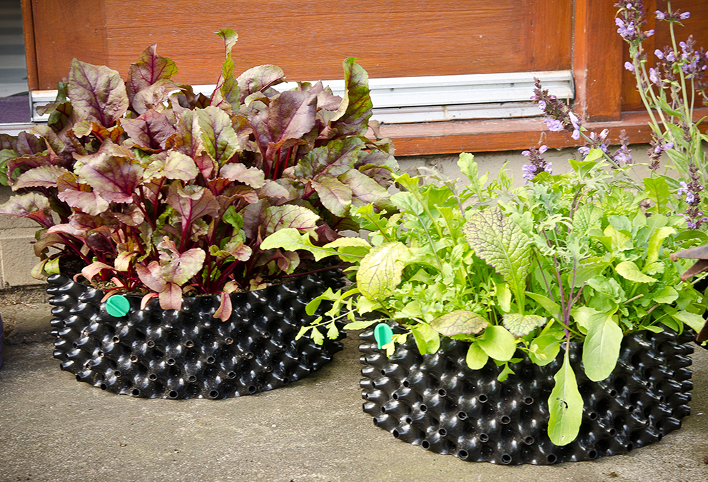 Air-Pot Large Seed Tray