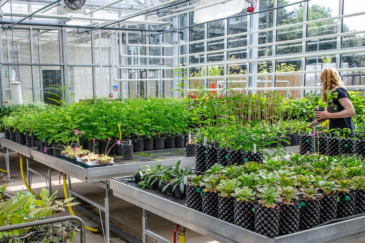 Air-Pot  Always Innovating
