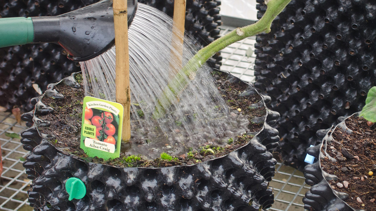 Air-Pot Gardener  Growing better plants with Air-Pot containers.