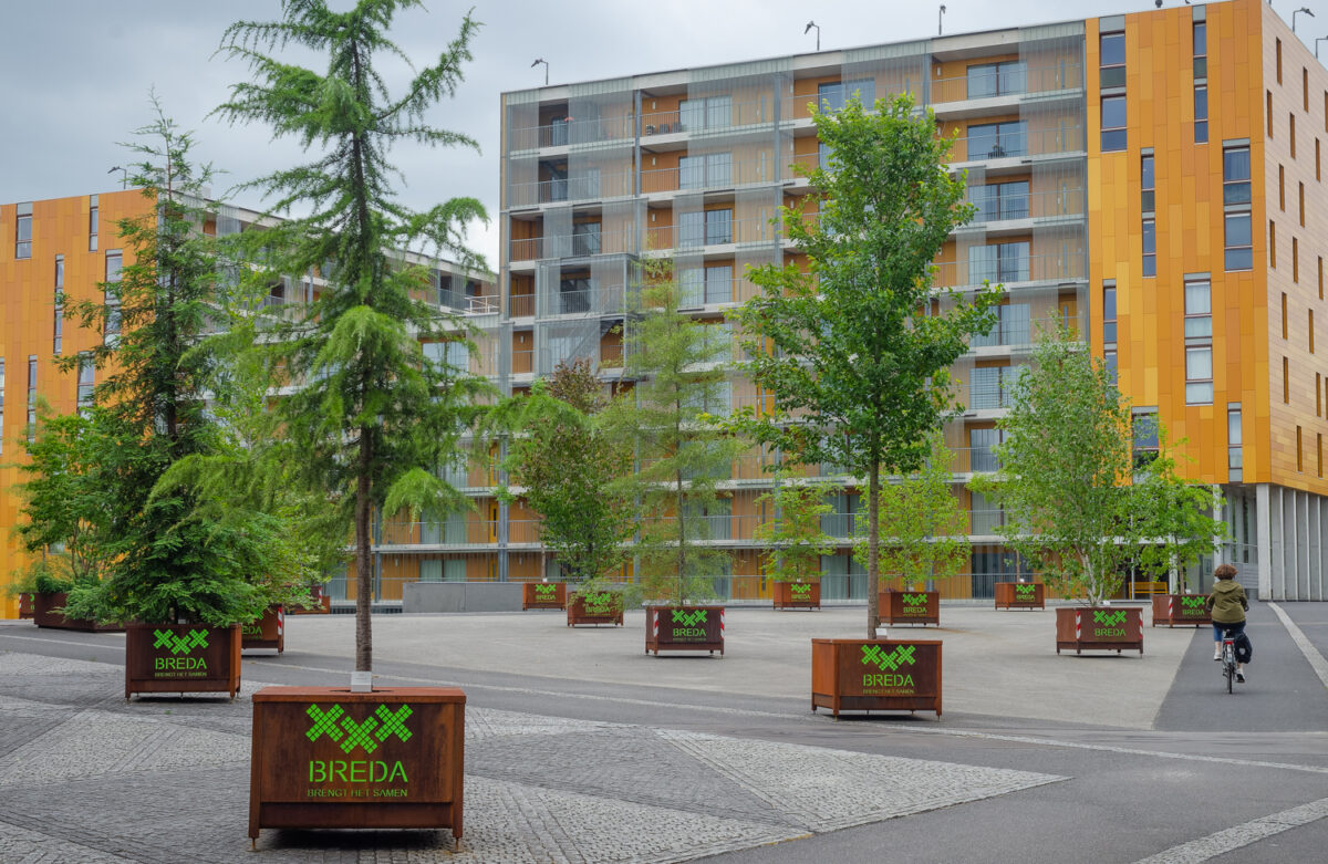 Flexible trees