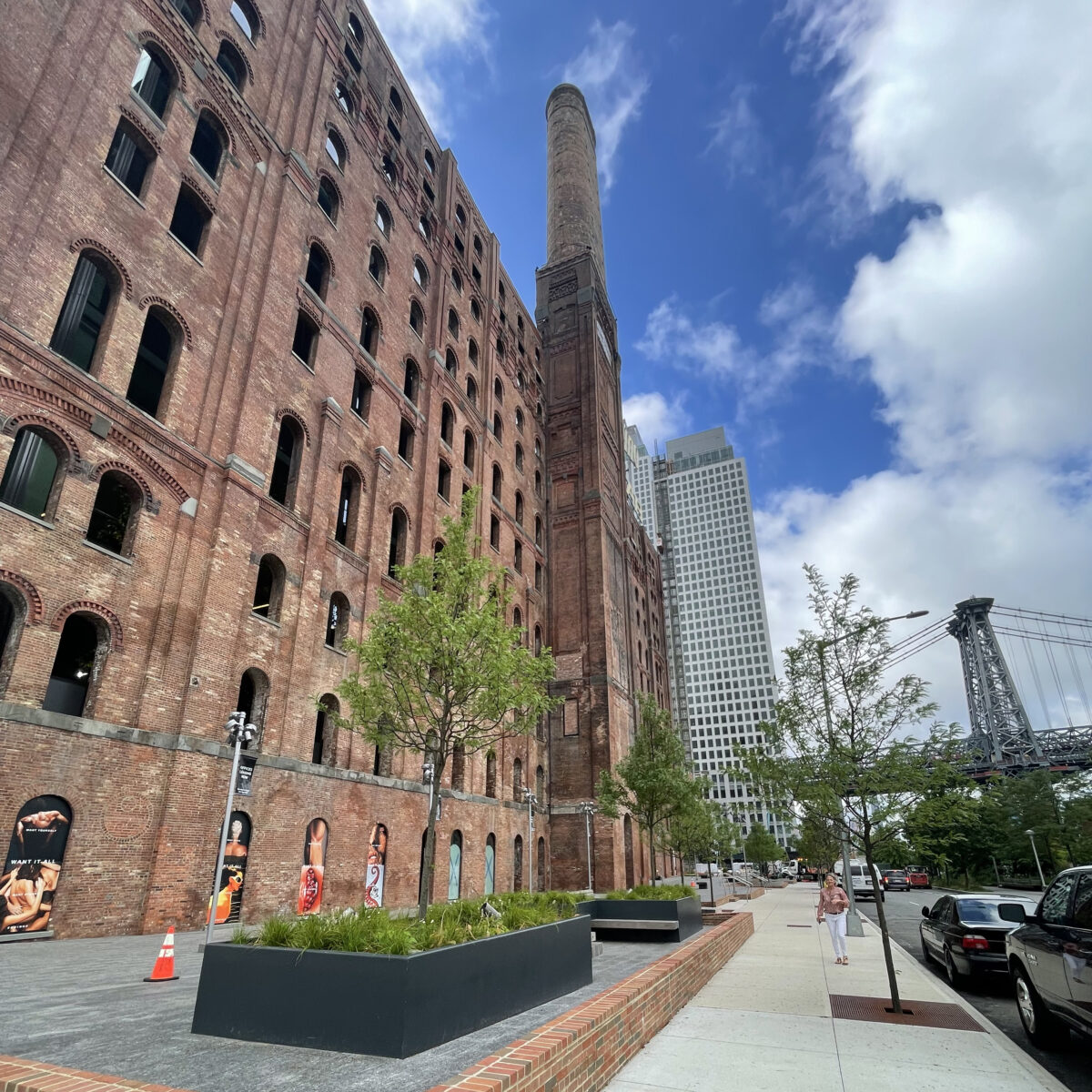 New Trees for New York