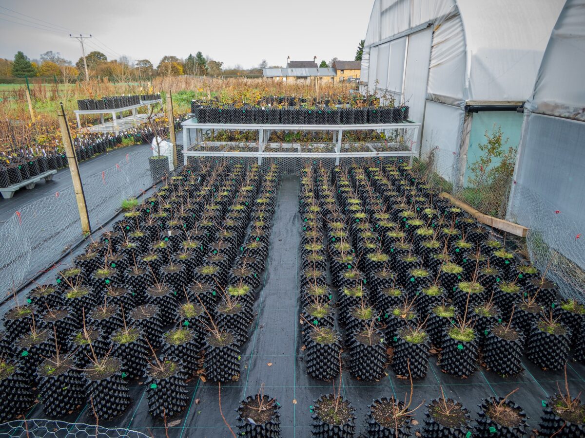 Boosting biodiversity in Wales