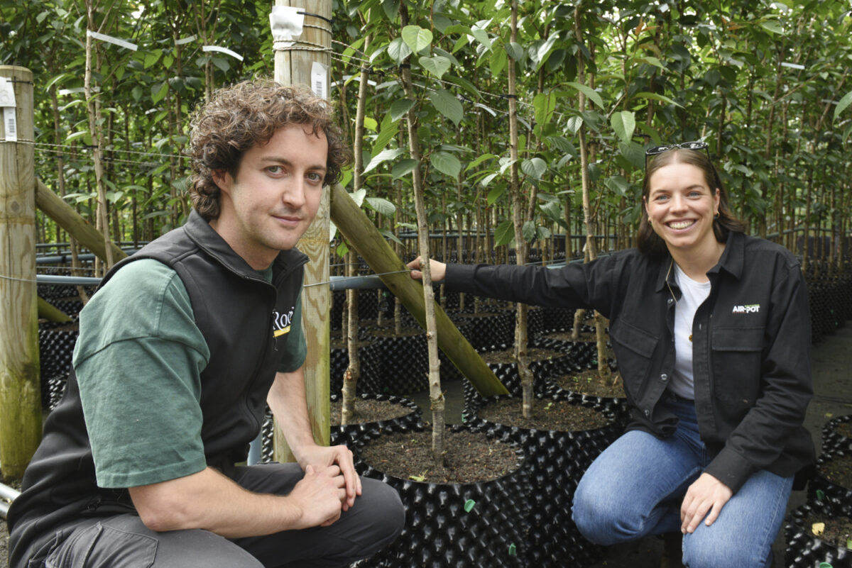 Roots Plants pick Air-Pot® 7